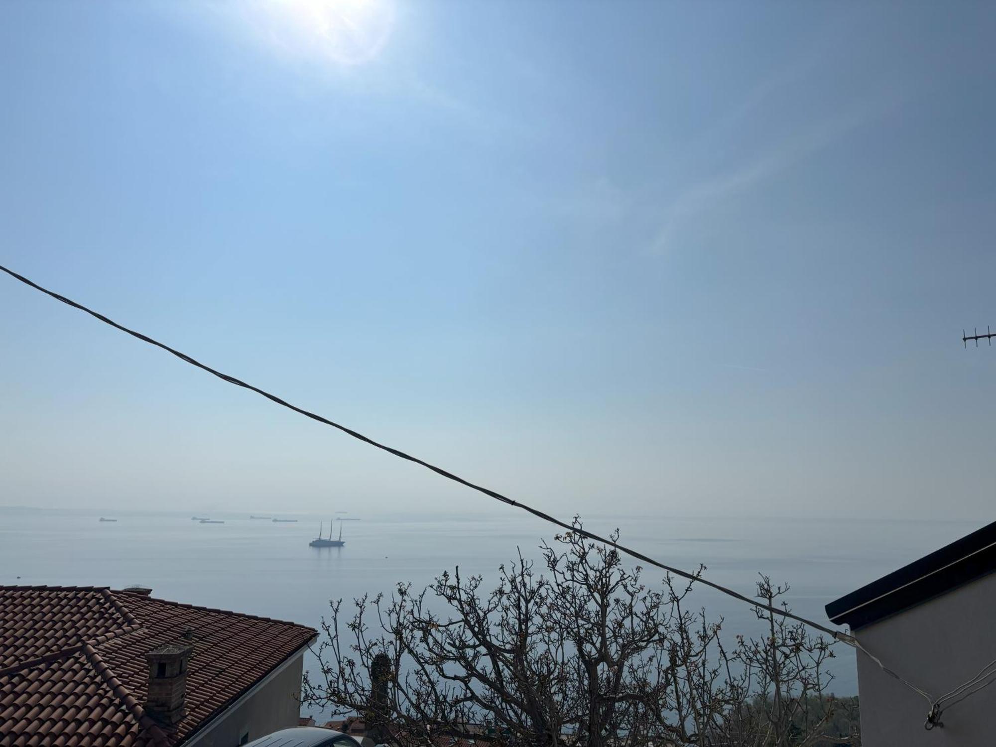 Affitto Turistico Via Bonomea 219-1 Διαμέρισμα Τεργέστη Εξωτερικό φωτογραφία